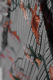 Linen Printed Kurti - Flora - P-241-19-FL